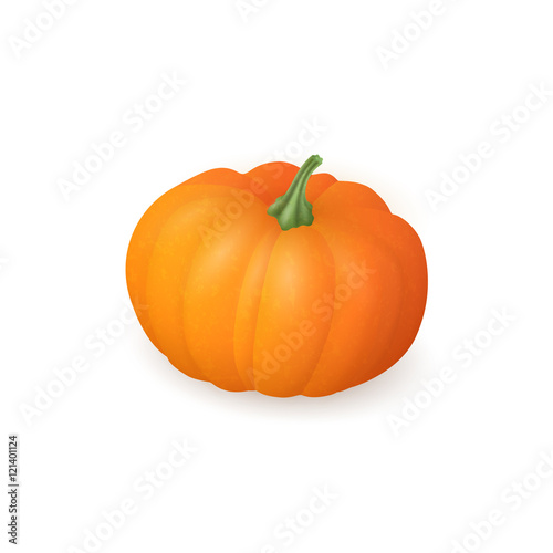 Realistic pumpkin isolated on white background. Bright orange vegetable. Vector illustration. EPS 10.