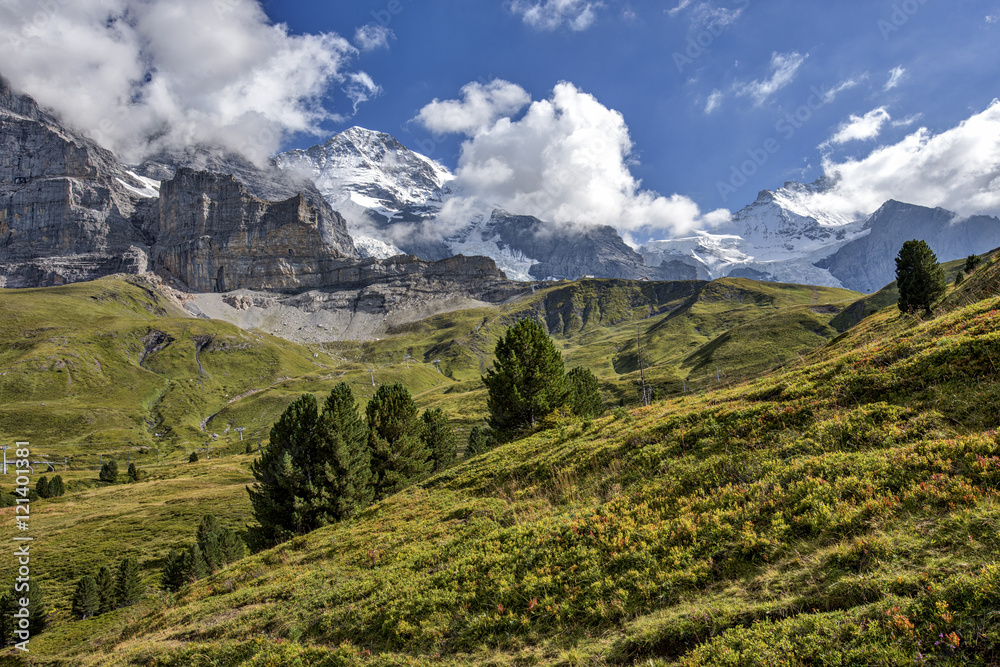 Alpine Landscape in Bernese Oberland in Switzerland