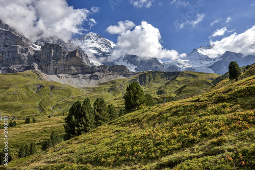 Alpine Landscape in Bernese Oberland in Switzerland