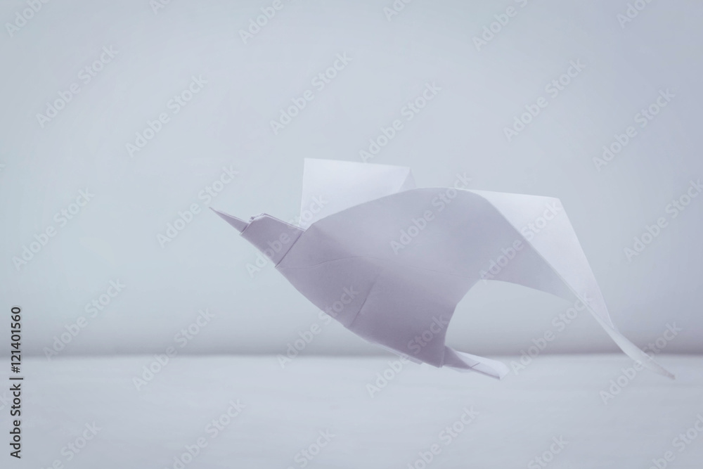 Fototapeta premium Origami freedom seagull