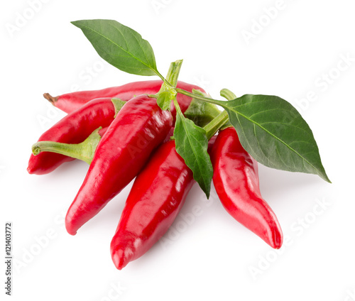 red chilli peppers isolated on the white background photo