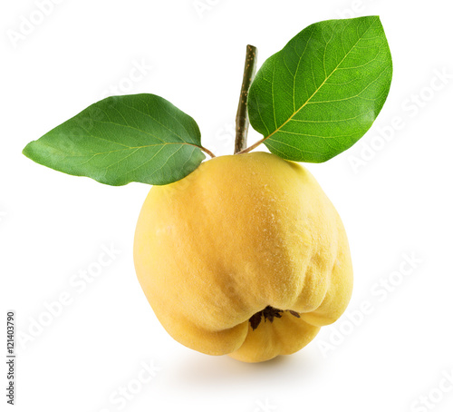 Photographie quince isolated on the white background
