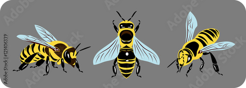 set of images of bees