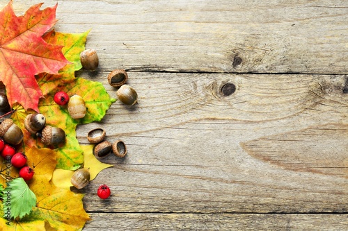 Fotografie Fallen leaves on wooden background with copy space for text