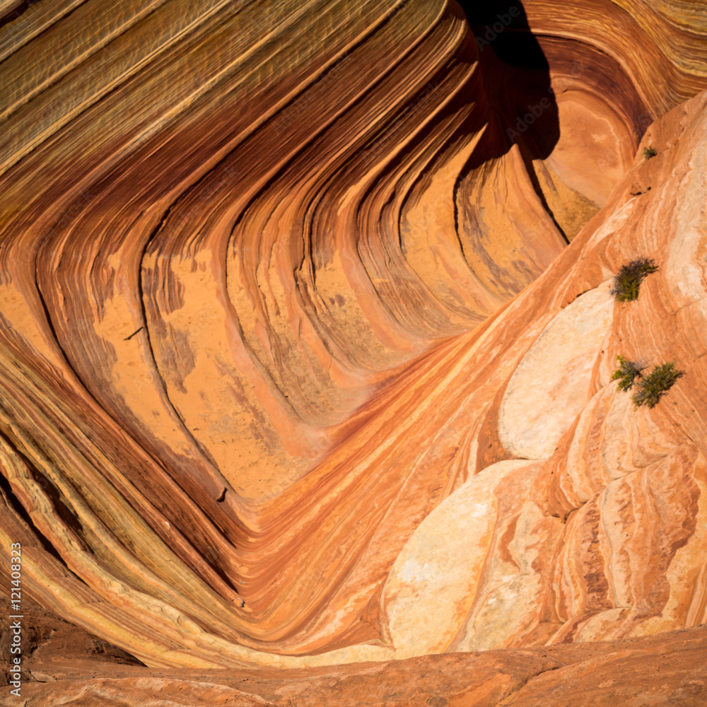 Obraz premium Coyote Buttes in the Vermilion Cliffs Arizona