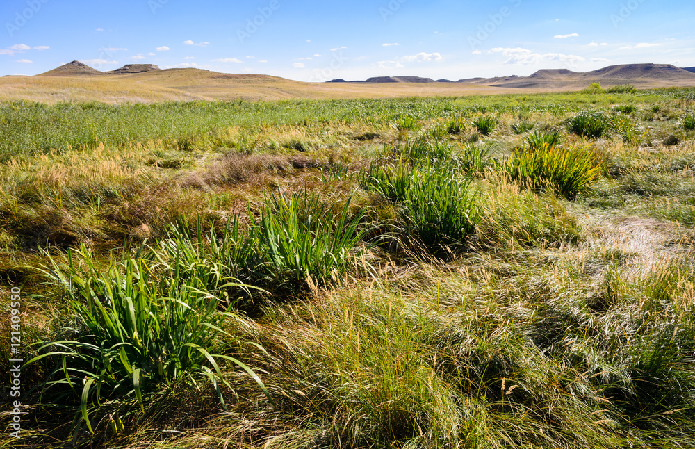 Agate Fossil Beds National Monument