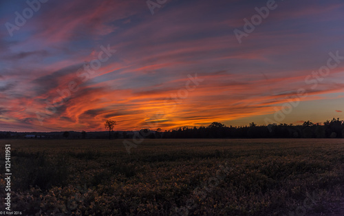 Sunset over farm field