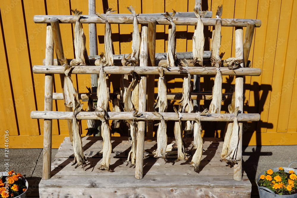 Cod stockfish drying on traditional racks in the Lofoten islands, Norway