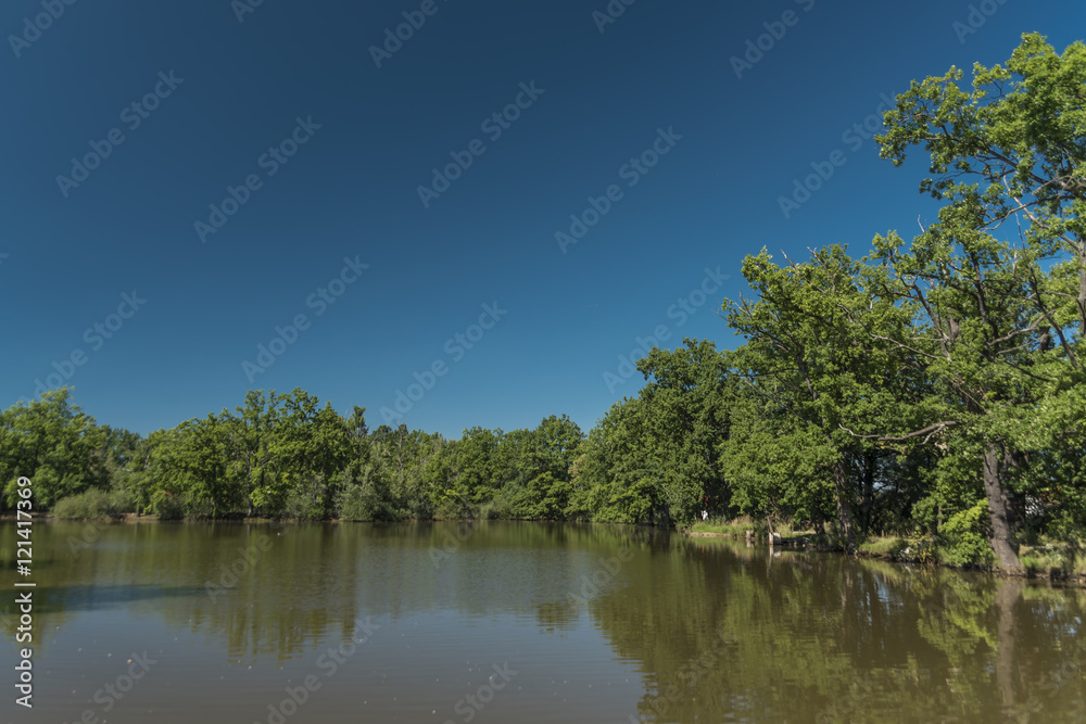 Pond near Branisov village in summer
