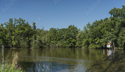 Pond near Branisov village in summer