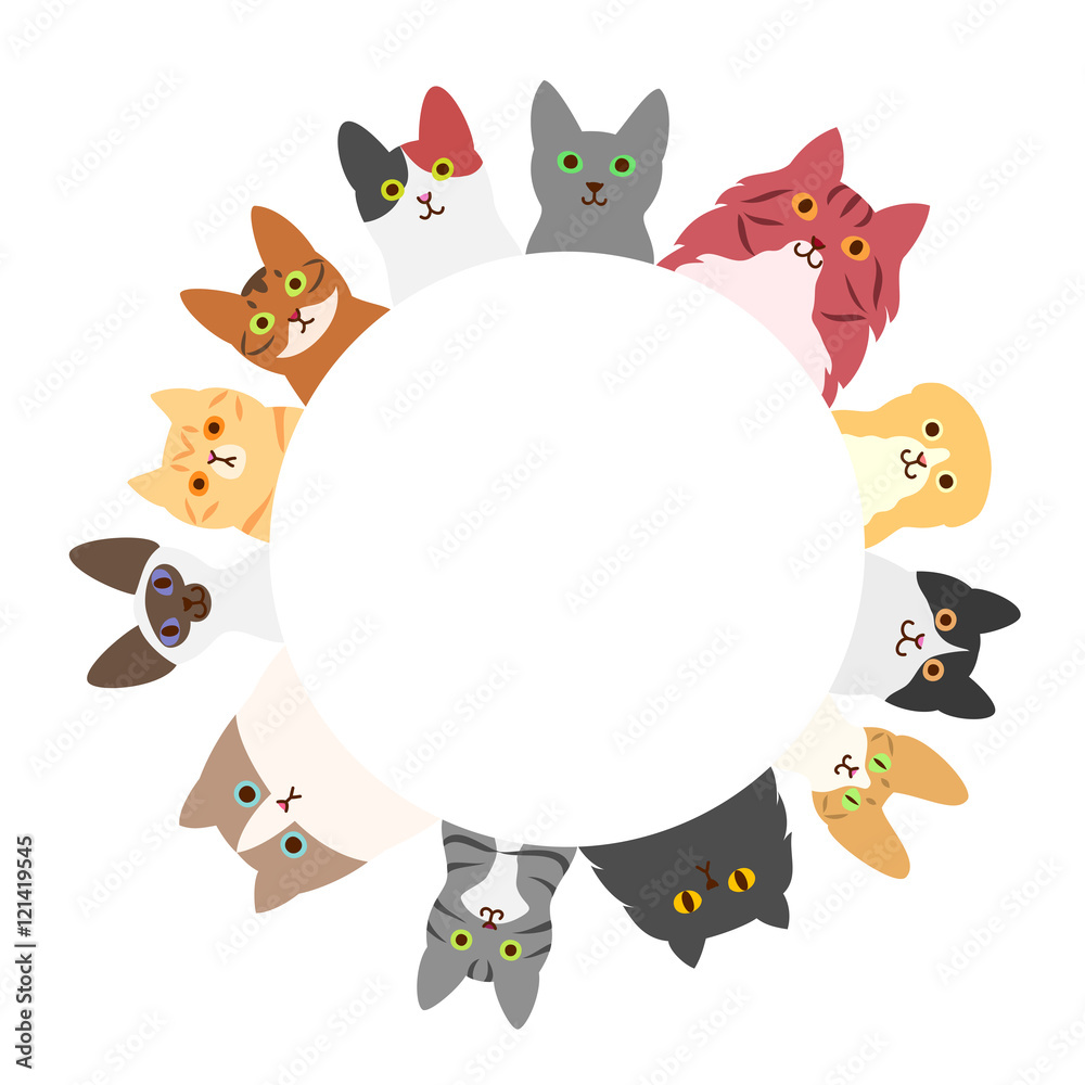 Fototapeta premium cats circle