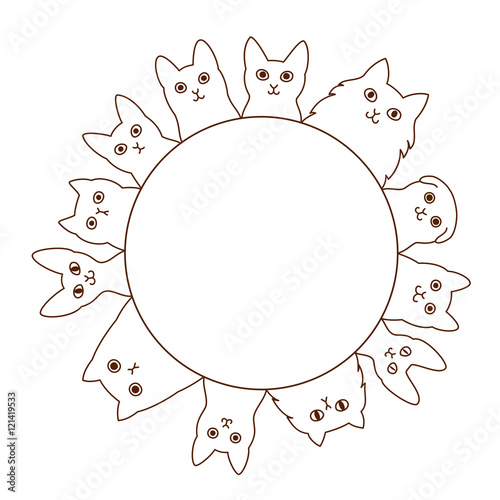 cats circle
