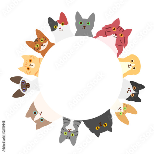cats circle