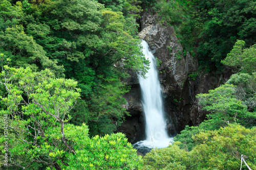 龍神の滝  © sakura