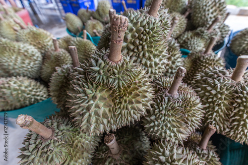Durian the king of fruit