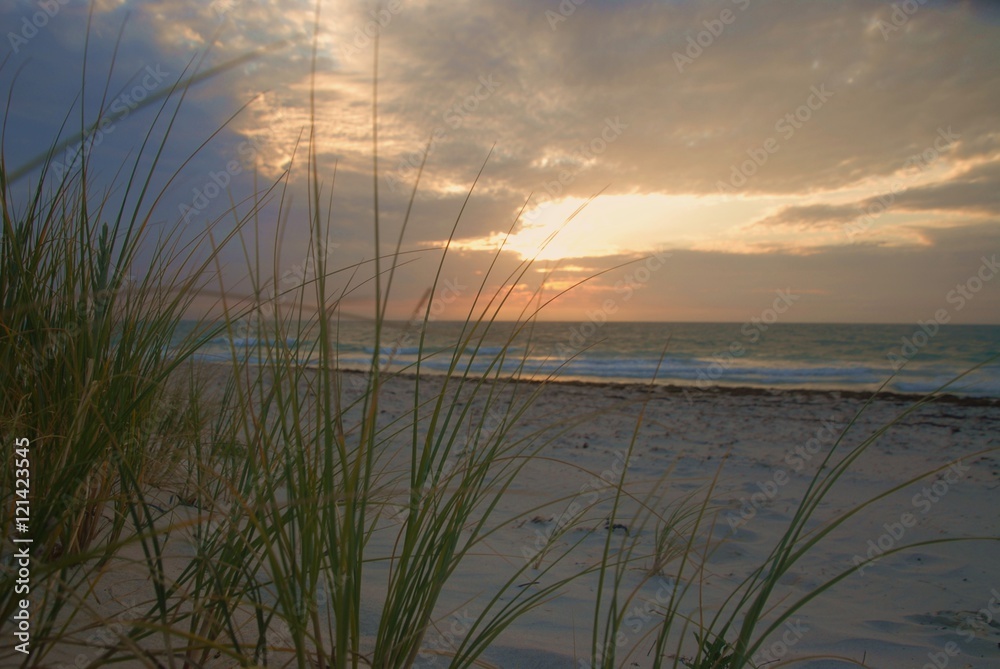 beach at sunset through sand grass beach at sunset through sand grass