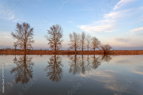 river trees clouds reflection
