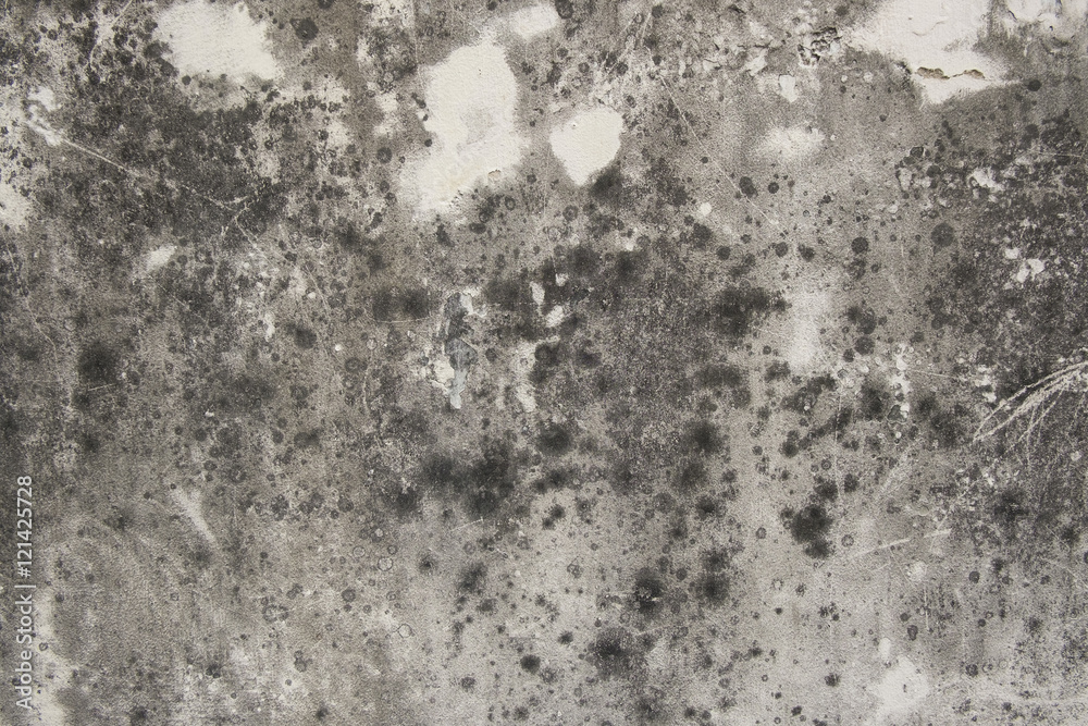 Fototapeta premium vintage wall background,old wall