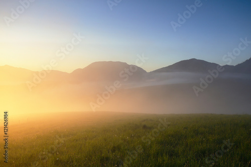 Misty morning on meadow