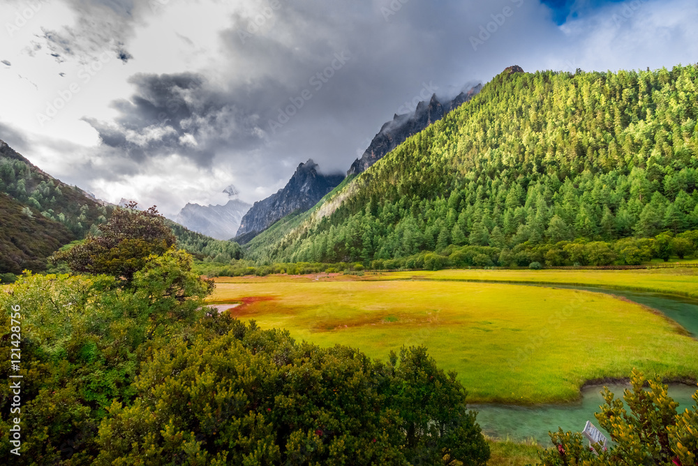 Landscape of autumn at Chongu pasture in Yading national level reserve, Daocheng, Sichuan Province, China.