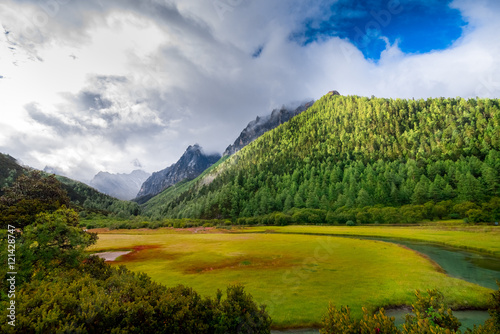 Landscape of autumn at Chongu pasture in Yading national level reserve, Daocheng, Sichuan Province, China.
