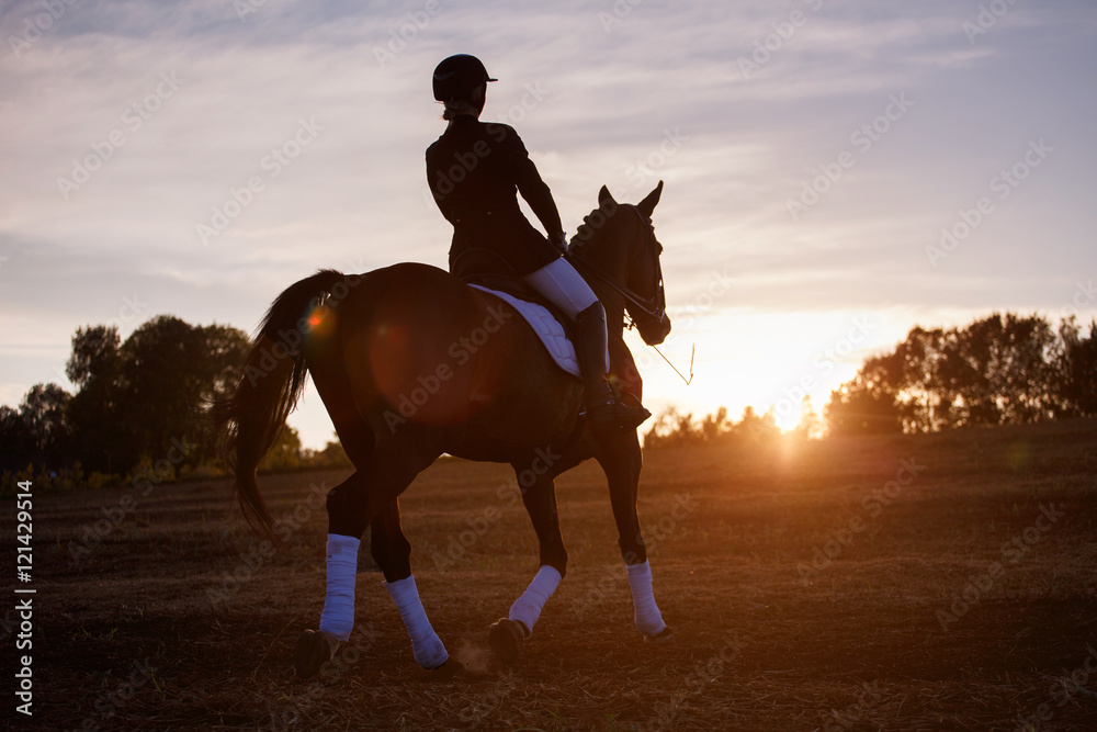 Obraz premium Silhouette of a woman riding horse