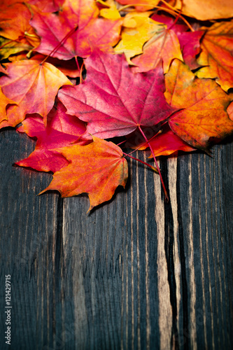 Autumn maple leaves on vintage dark wooden background with copys