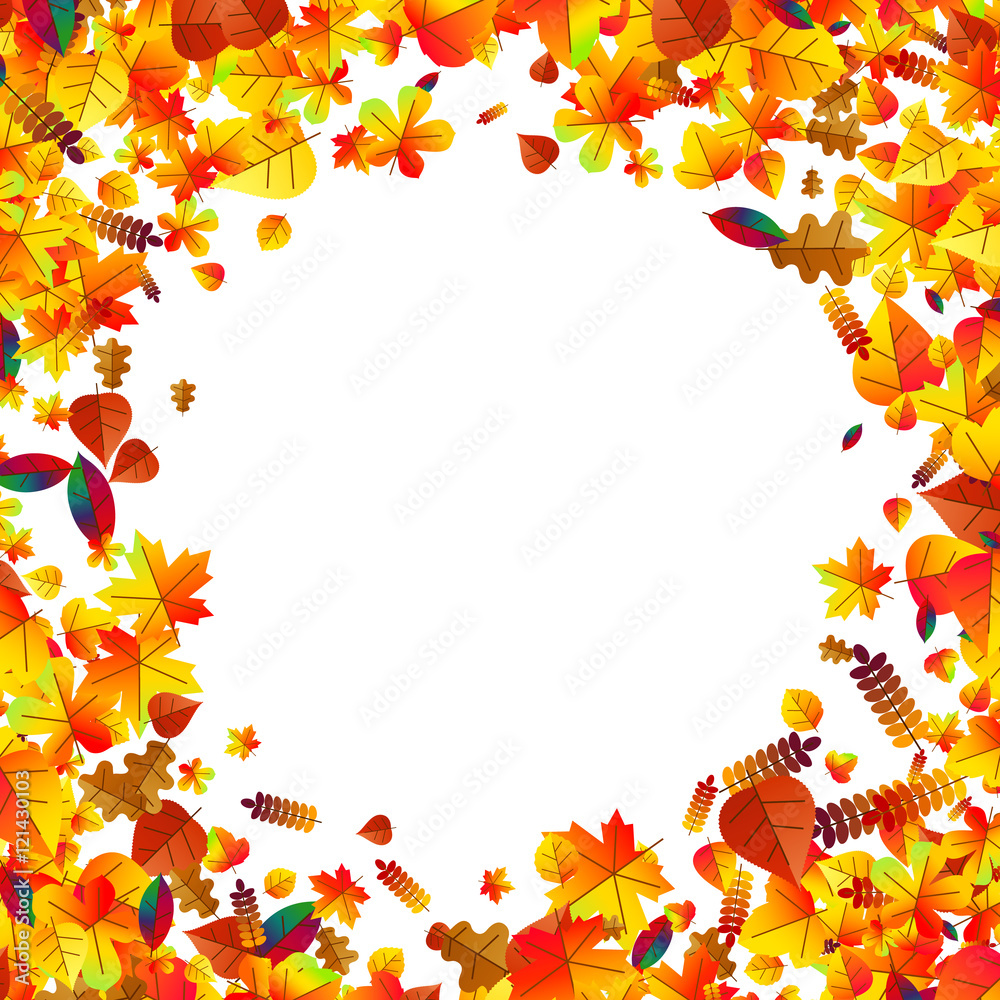 Autumn leaves scattered background. Oak, maple and rowan