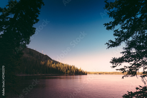 Teton: Jenny lake sunset through trees