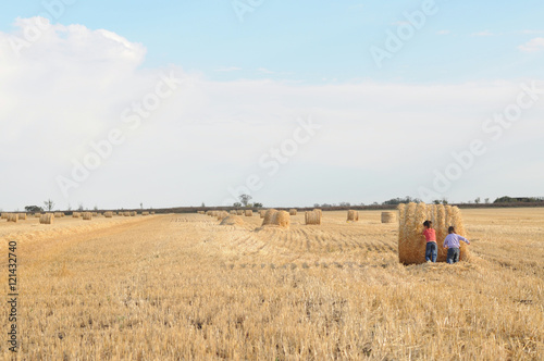 Two kids rolling sheaf of hay