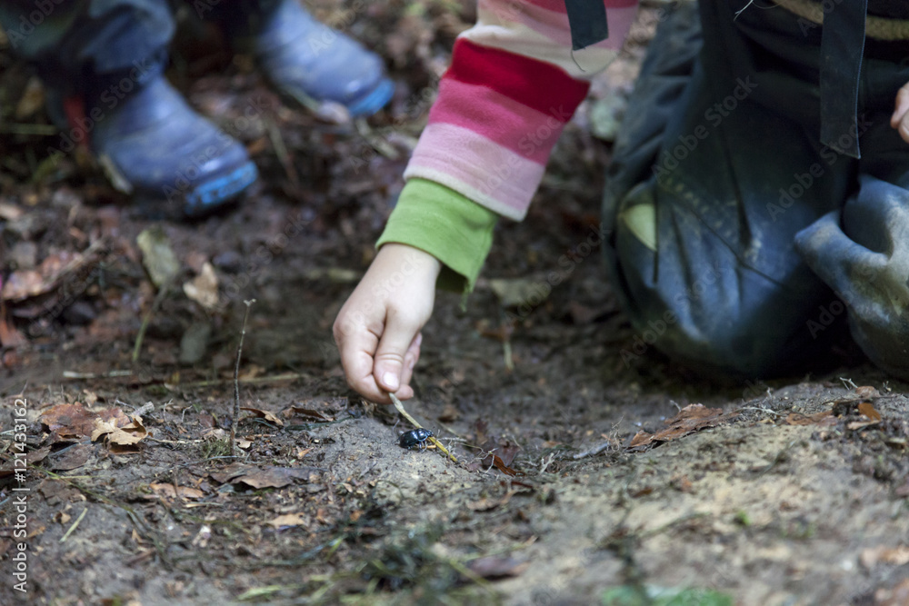 Obraz premium Waldkindergarten