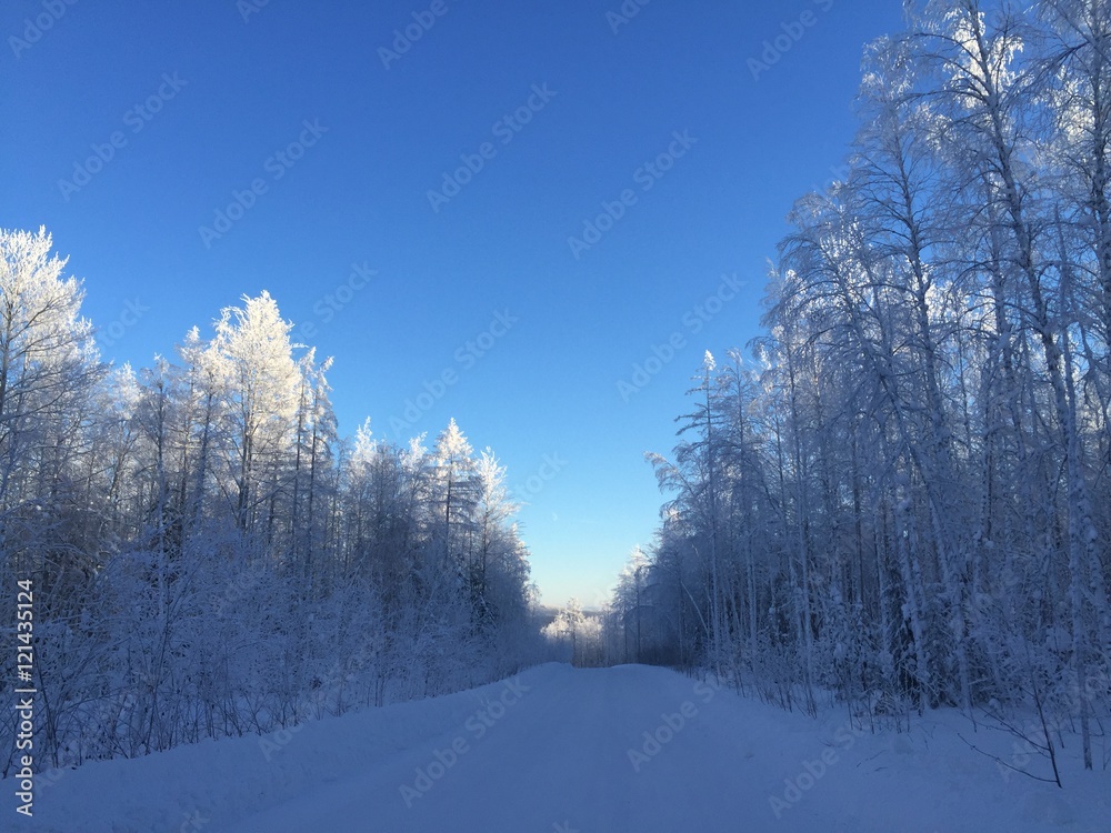 Fototapeta premium Sibir