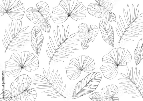 Abstract natural background; Plants line art illustration pattern wallpaper graphic.