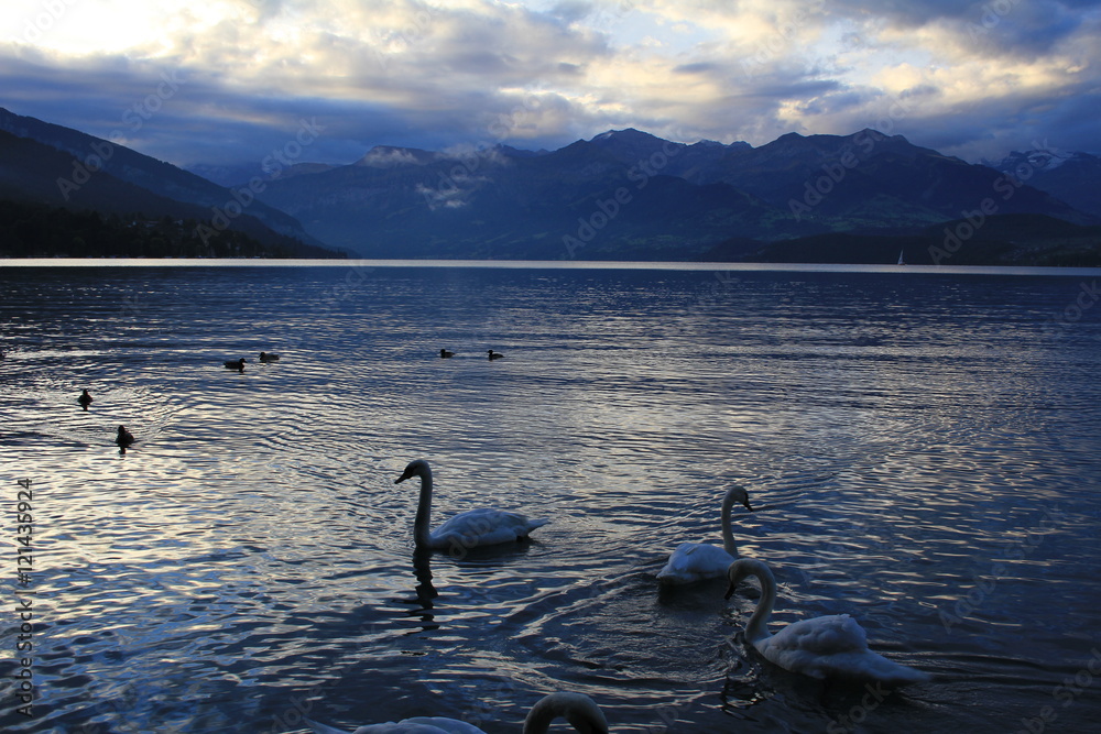 Naklejka premium Travel the World Zen Style
