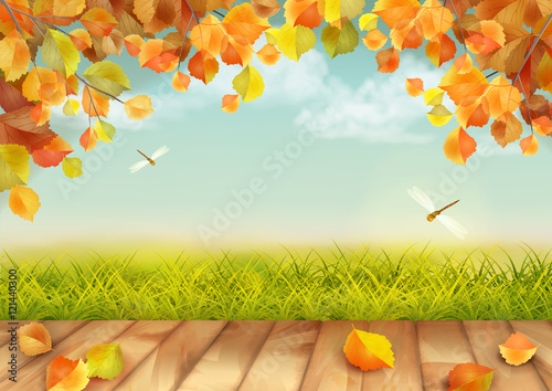 Vector Autumn Landscape