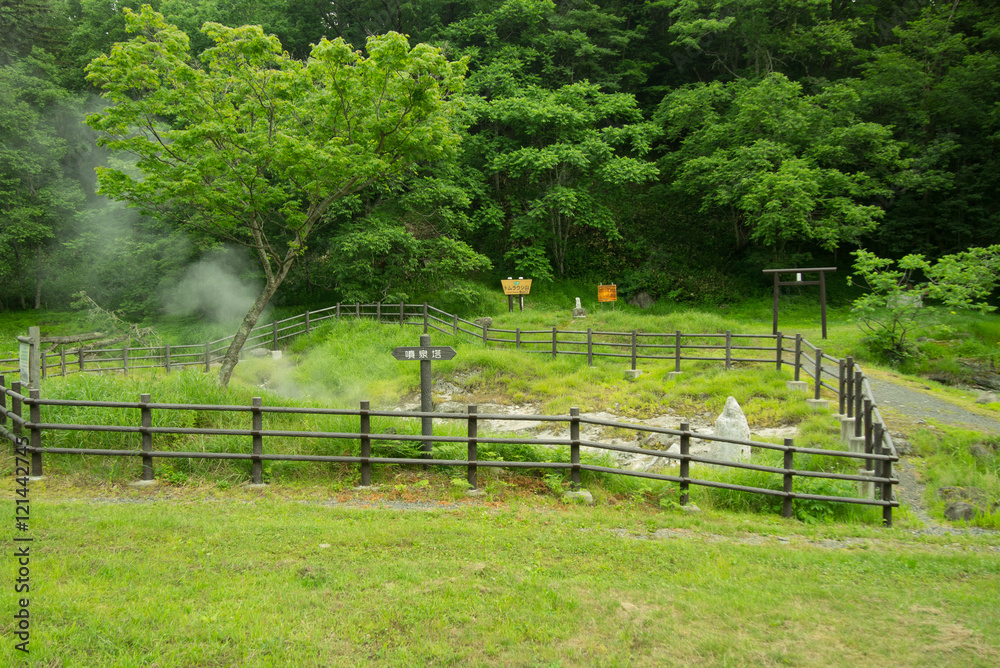 Fototapeta premium 温泉地区の風景