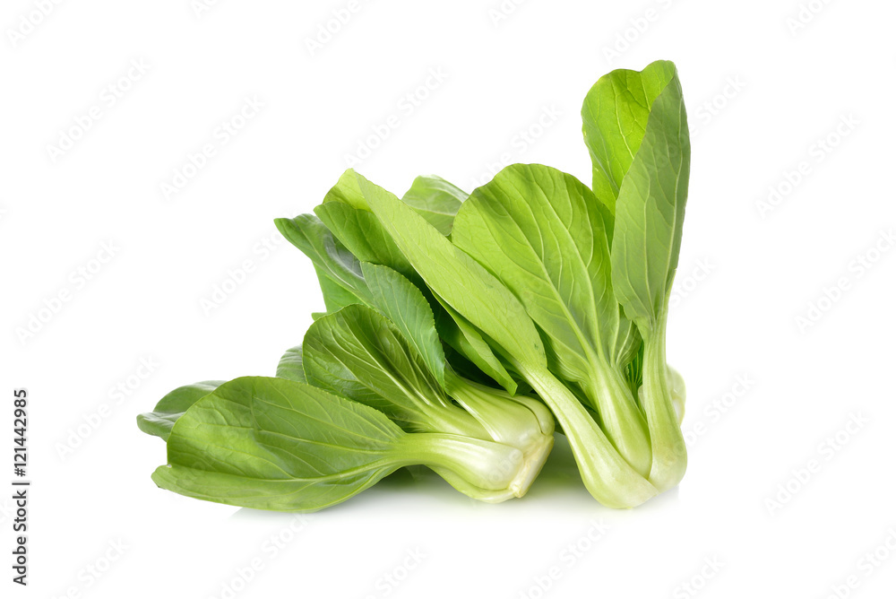 fresh baby Bok choy (Chinese cabbage) on white background fresh baby Bok choy (Chinese cabbage) on white background
