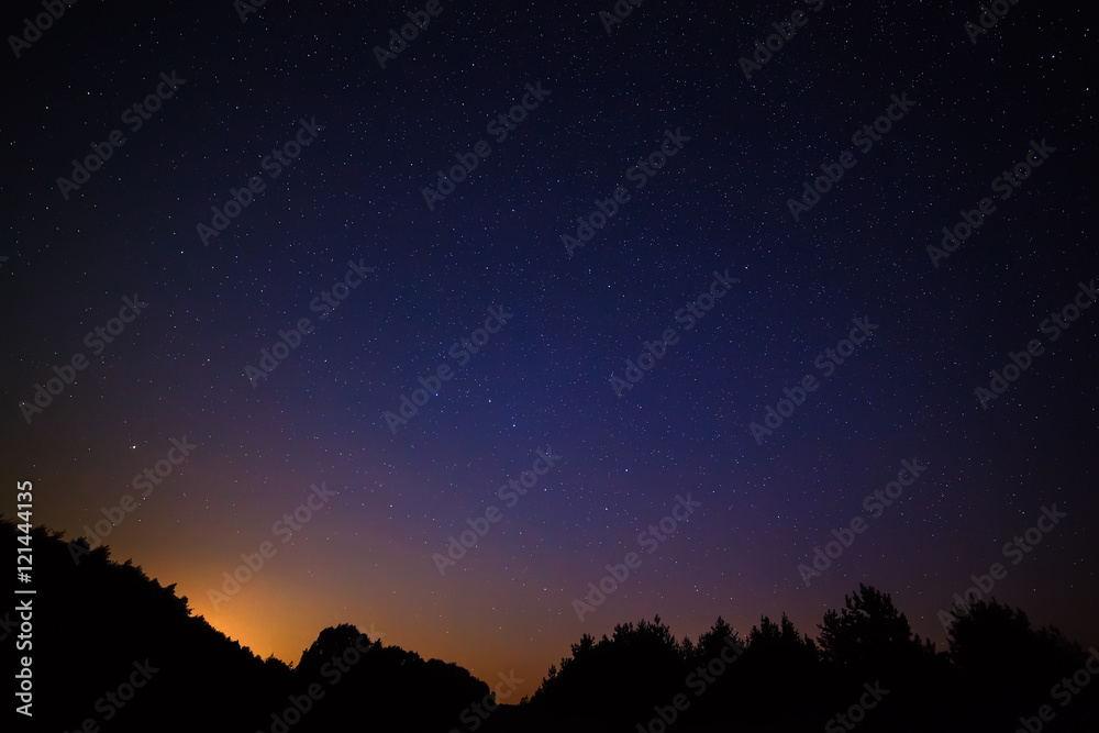 Night sky with bright stars. Against the background of tree crow