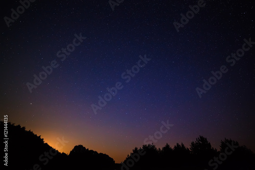Night sky with bright stars. Against the background of tree crow © olgapkurguzova