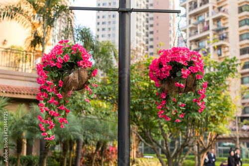 Flowers in basket hanging on a pole.