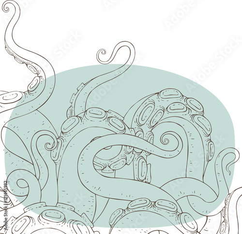 Octopus tentacles