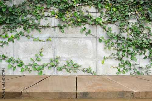 Old wooden planks or wooden floor with concrete wall and ornamental plants or ivy or garden tree.