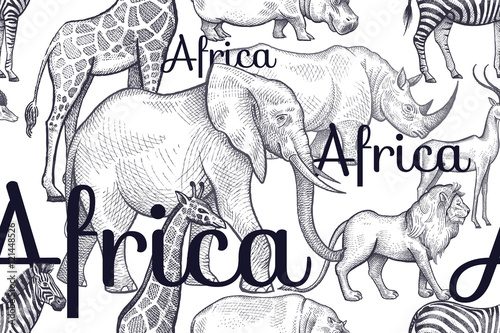 Seamless pattern with elephants, giraffes, rhinos, hippos, lions
