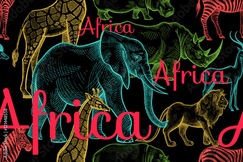 Seamless pattern with elephants, giraffes, rhinos, hippos, lions