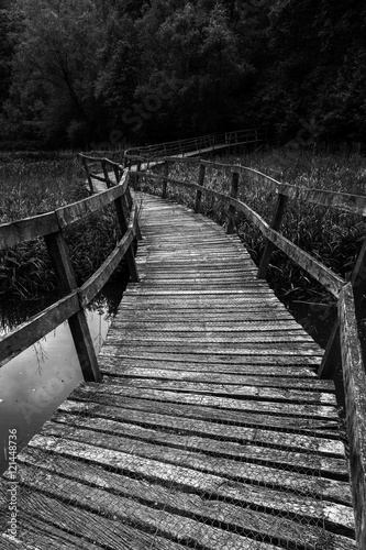 Dark Wooden Path © Phil