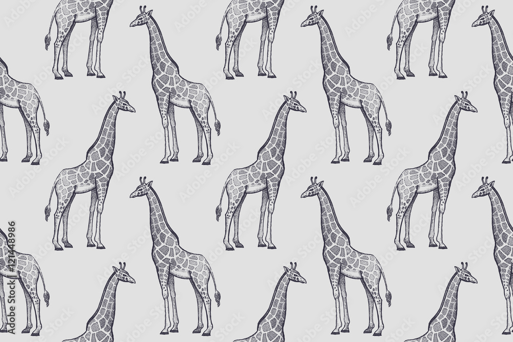 Seamless pattern with African giraffes.