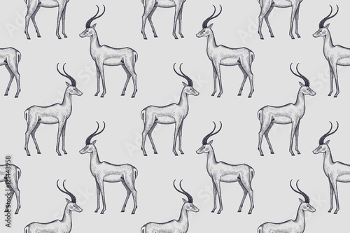 Seamless pattern with African antelopes.