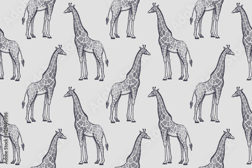 Photography Seamless pattern with African giraffes.