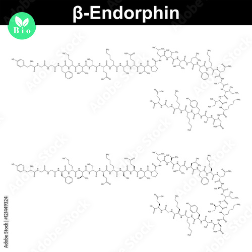 Beta endorphin molecular formula