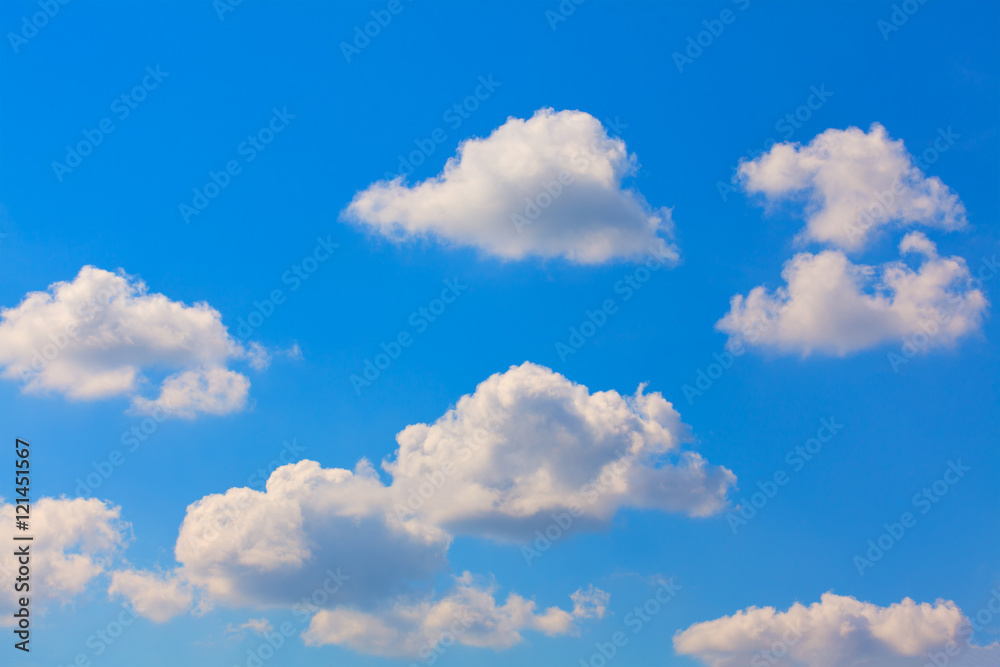 Fototapeta premium summer white clouds